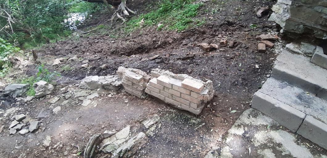 Нижнекамские активисты добиваются восстановления лесного родника