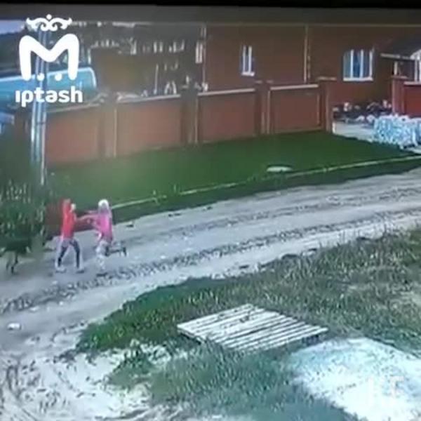 В Татарстане с хозяина напавшей на девочку немецкой овчарки требуют компенсацию