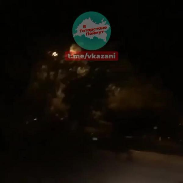 Челнинцы сняли на видео носившегося по улицам города кабана