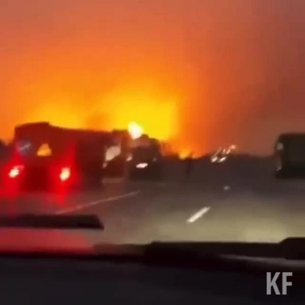 В Лениногорском районе загорелся лес