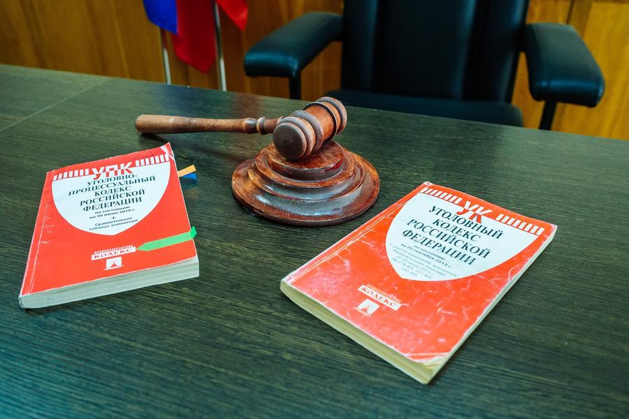 «В Нижнекамске насилие над животными процветает» «В Нижнекамске насилие над животными процветает»