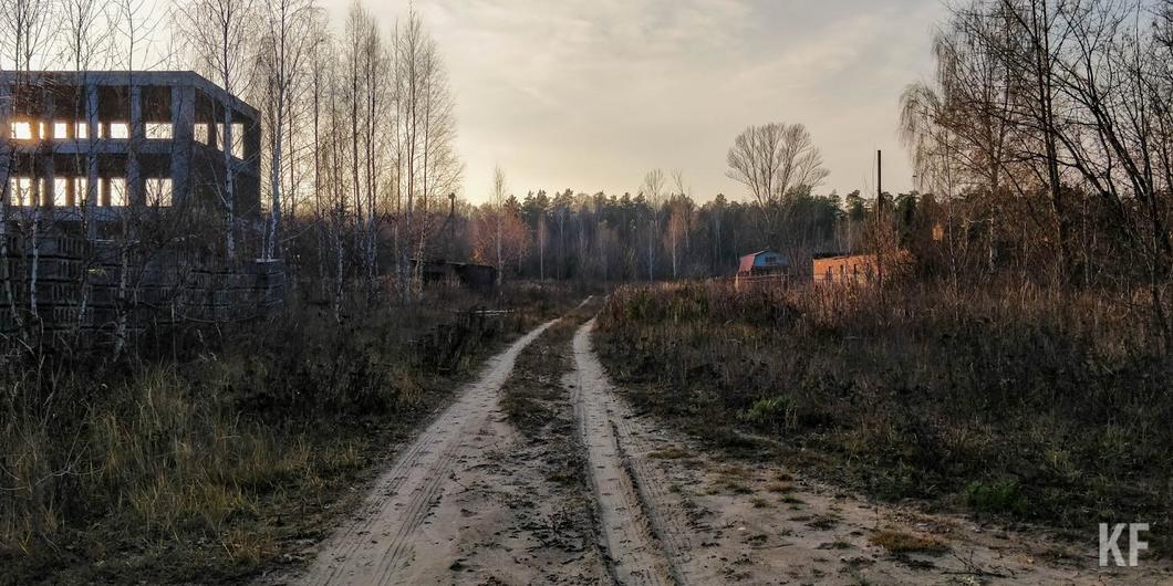 Да будет свет – или нет: как жители поселка Суровка борются за дорожное освещение