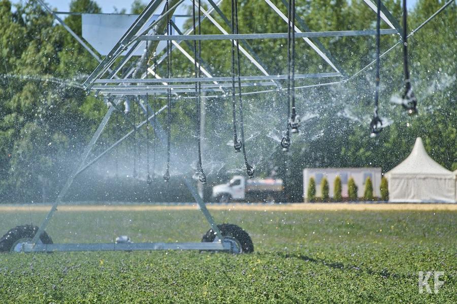 Цены стабилизировались, дефицита не ожидается: Татарстан обеспечит себя необходимыми продуктами