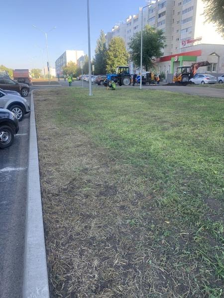 Челнинцы обвинили газонокосильщиков в битье стекол автомобилей