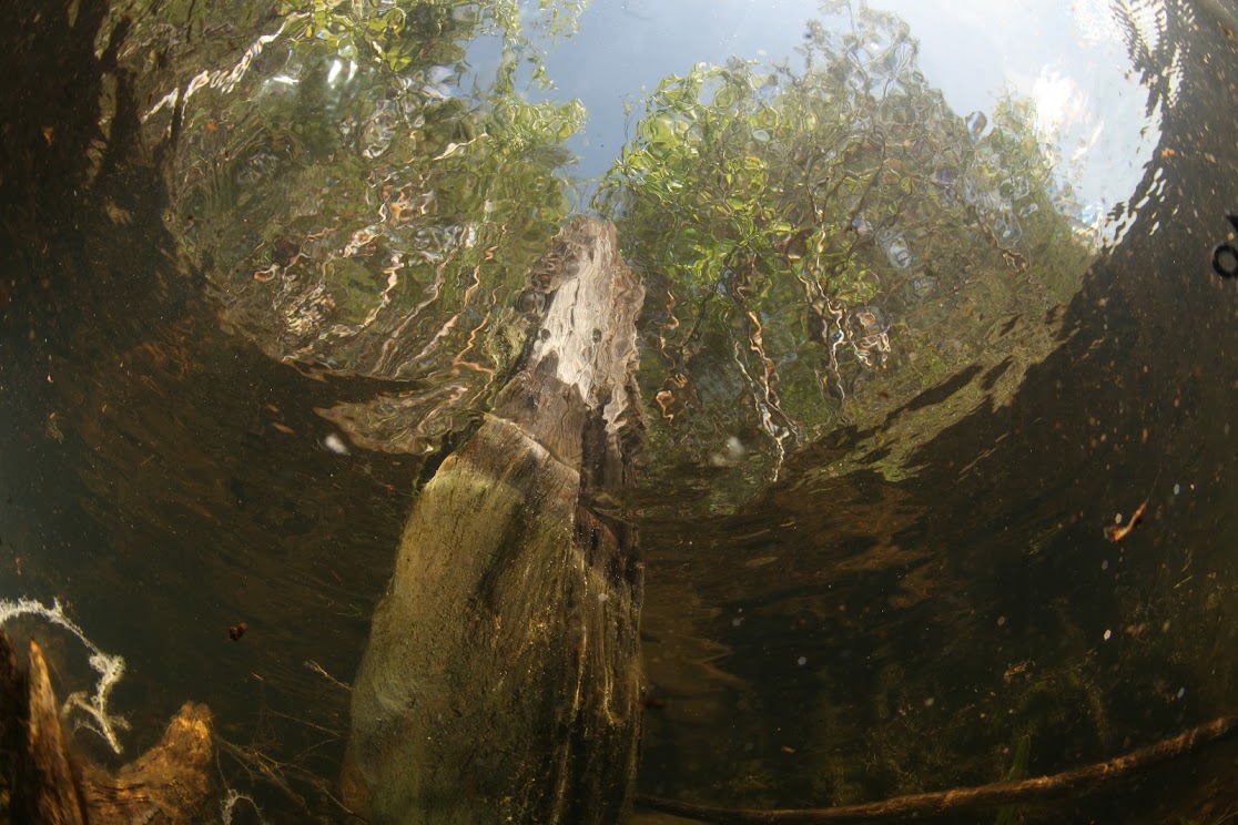 «Камский бекон» Ильдара Галяутдинова ответит за загрязнение татарстанских рек нечистотами