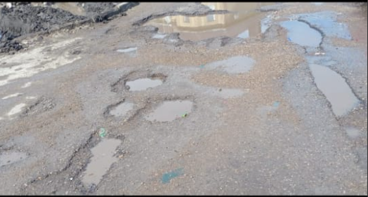 Разбитые дороги, нашествие насекомых и незаконный захват земли: на что жалуются альметьевцы в «Народный контроль»