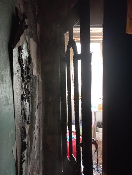 Стали известны подробности пожара в нижнекамской квартире, где угарным газом отравилась кошка Стали известны подробности пожара в нижнекамской квартире, где угарным газом отравилась кошка