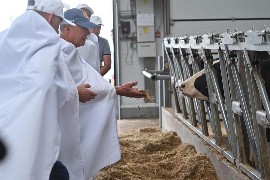 Минниханов оценил темп уборочных работ в Буинском районе