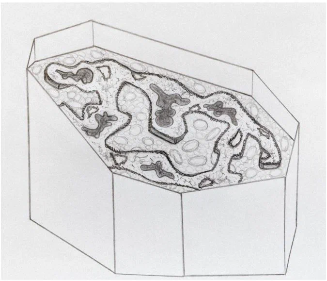 Татарстанцы увидят арт-объекты выставки «Искусство быть: запредельно близко» первыми