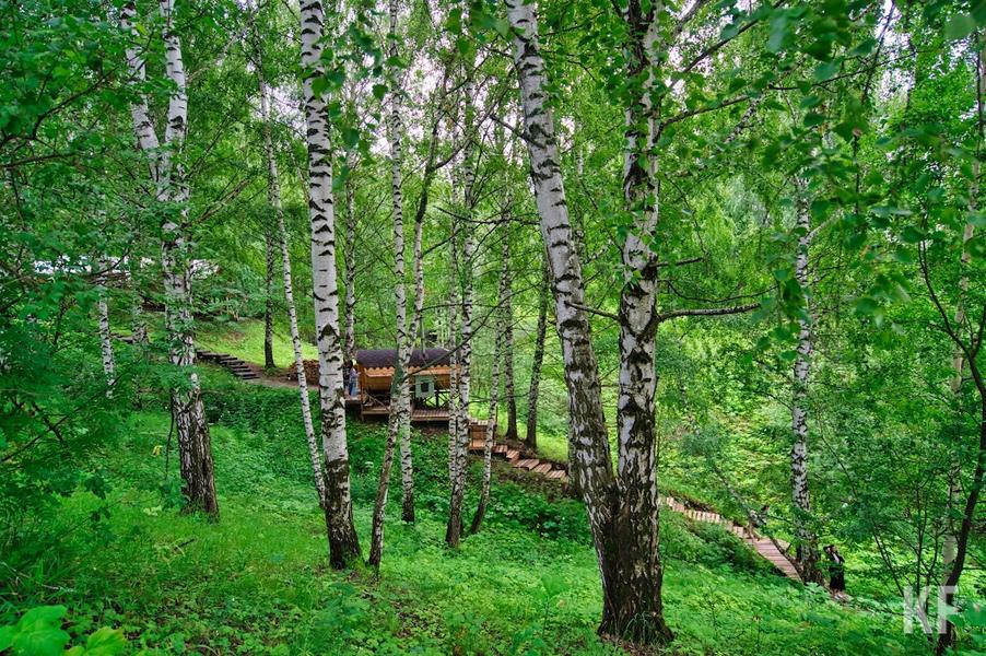 «По статистике в 95% причиной лесных пожаров служит человеческий фактор»