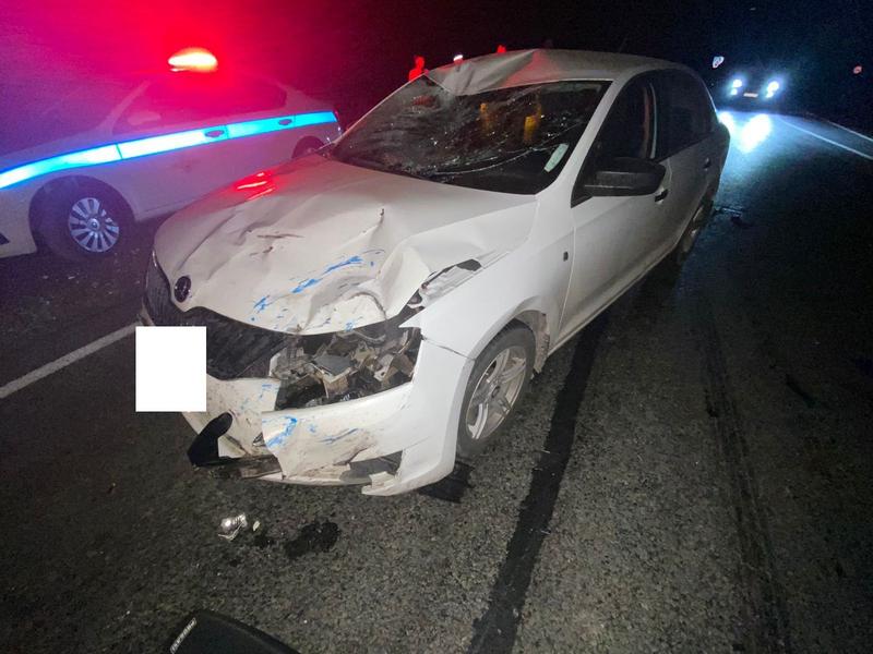 На трассе Чистополь - Нижнекамск парень на питбайке влетел в «Шкоду» На трассе Чистополь - Нижнекамск парень на питбайке влетел в «Шкоду»