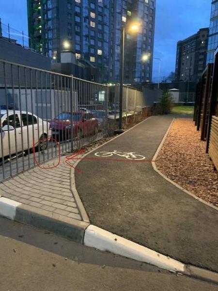 Жители казанского ЖК «Легенда» пожаловались на нашествие крыс