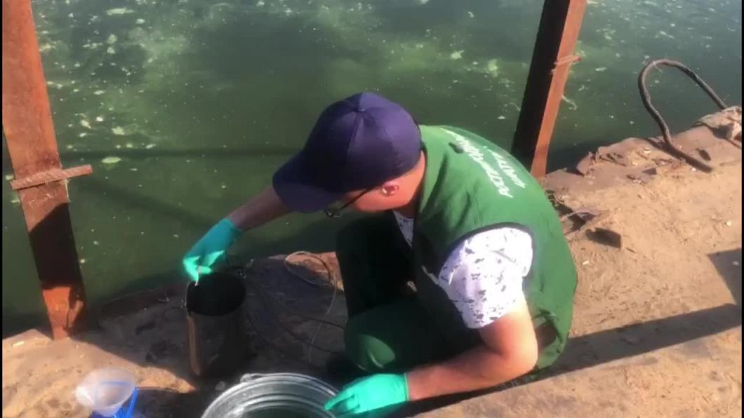 Татарстанцы заметили разлив нефти в Волге под Казанью