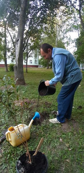 В Нижнекамске волонтеры высаживают деревья в память о погибших в спецоперации военнослужащих