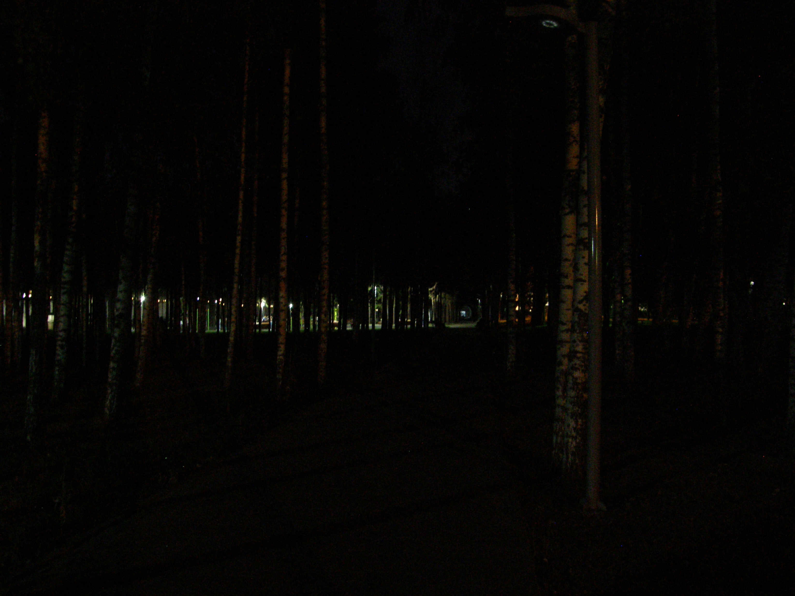 В темноте, да не в обиде: в Альметьевске не хватает света в общественных пространствах