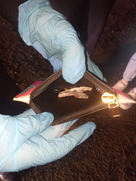 Около свинофермы сотрудники ППС задержали нижнекамку с наркотиками