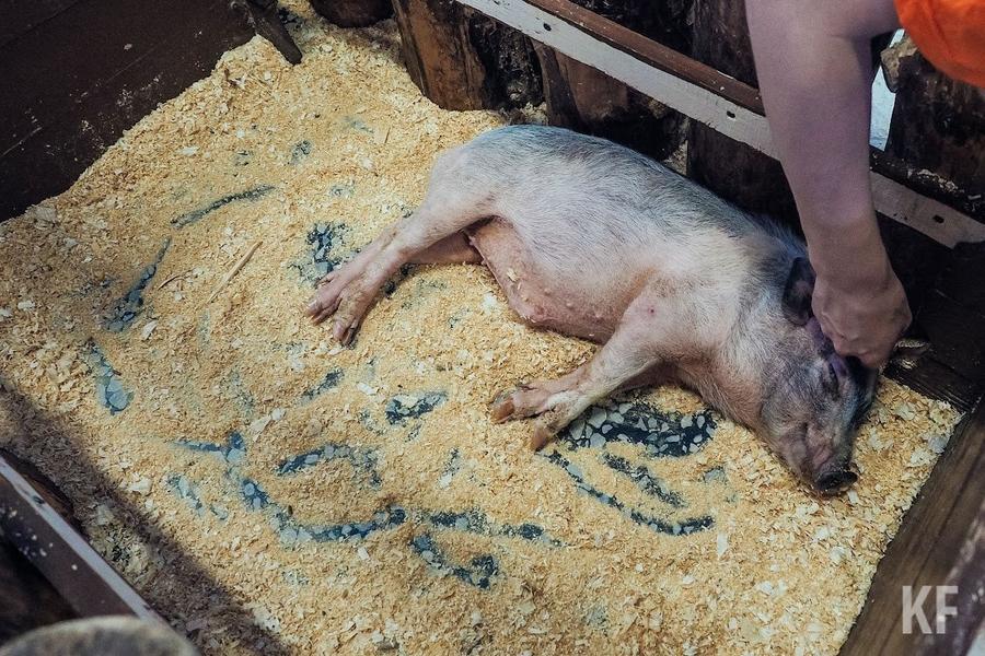 «Охотничьи ресурсы — это народное достояние»