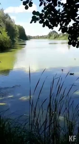 Экологи отрагировали на жалобы жителей Зеленодольского района о розовом оттенке озера Карасиха