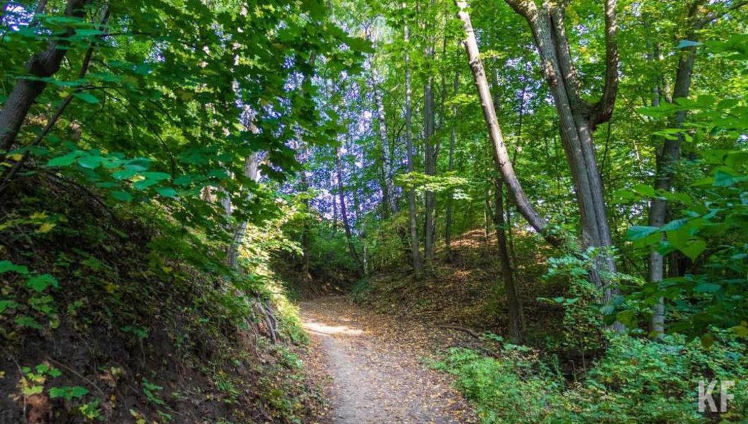 В Челнах взялись за возрождение скаутского движения