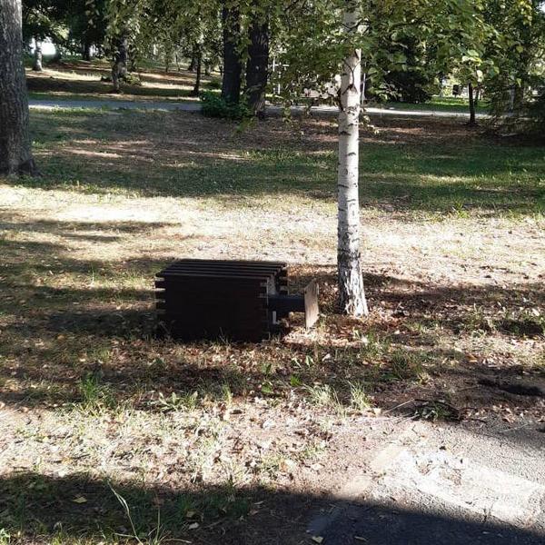 Парк «Сосновая роща» стал жертвой вандалов Парк «Сосновая роща» стал жертвой вандалов