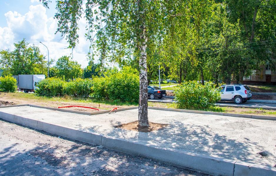 В Нижнекамске рабочие «закатали в бетон» березу В Нижнекамске рабочие «закатали в бетон» березу