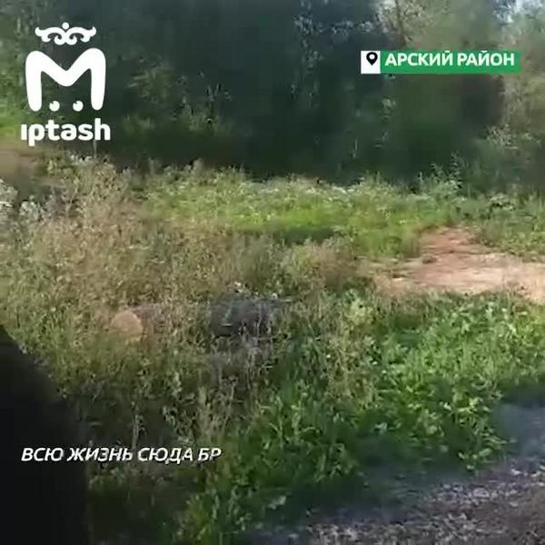 В Арском районе мужчина сам отстроил набережную в своем родном селе за 2,5 миллиона