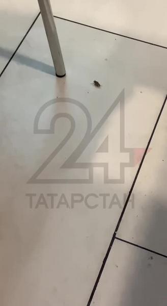 В Казани в Бургер Кинге посетители обнаружили тараканов
