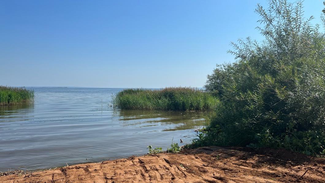 Миллиард в воду: под Челнами экологи сносят затопленный нефтепровод Миллиард в воду: под Челнами экологи сносят затопленный нефтепровод