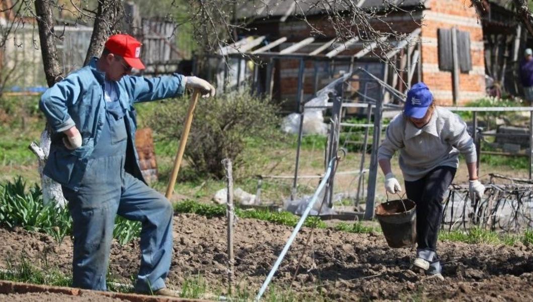 СНТ в кармане