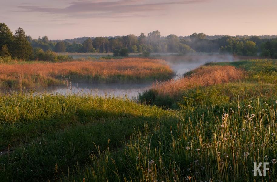 «Назрела необходимость вывода»: из Красной книги Татарстана уберут бурых медведей «Назрела необходимость вывода»: из Красной книги Татарстана уберут бурых медведей