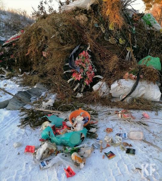 Малая Шильна стала мусоркой: как чиновники превратили сельское поселение в вечную свалку