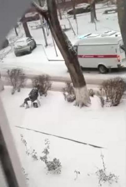 Пенсионерка умерла на стуле перед школой, из которой ее выгнали отказавшие в помощи охраники