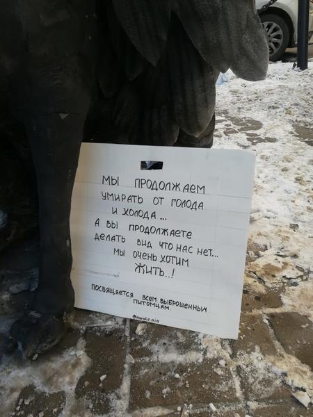 На Баумана в Казани установили памятник всем выброшенным и погибшим питомцам