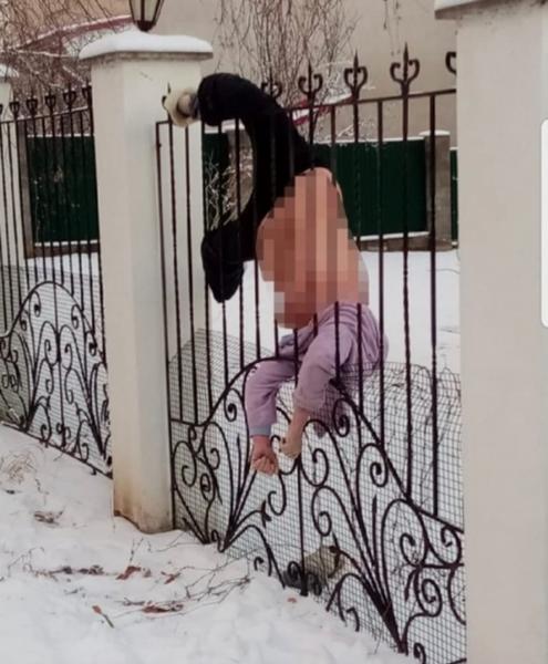 Жительница Башкирии ночью повисла на заборе и замёрзла насмерть Жительница Башкирии ночью повисла на заборе и замёрзла насмерть