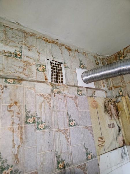 «Мебель гниет, вся в плесени...»: казанский ветеран труда пожаловался на халатность строителей во время капремонта по улице Светлая