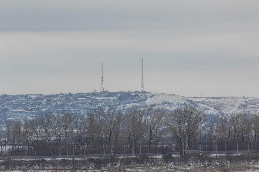 «Это народное достояние»: в лесах Татарстана выросло количество животных