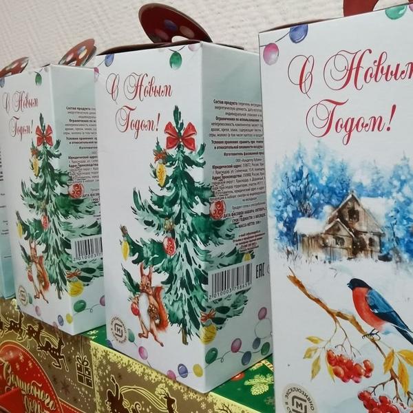 Нижнекамские полицейские перевоплотятся в новогодних персонажей