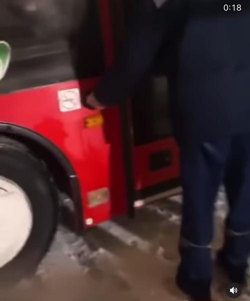 В казанском автобусе неизвестные бросили домашнего питбуля