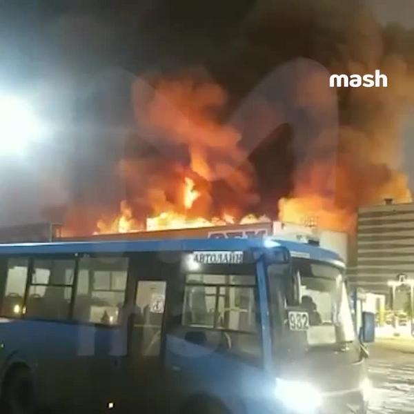 Загорелся ТЦ «МЕГА Химки» в Москве: очевидцы слышали взрывы