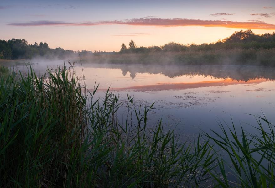 Экстремальная культура, дог-френдли среда и услуги в парках :Что готовит Институт развития городов Татарстана на 2023 год Экстремальная культура, дог-френдли среда и услуги в парках :Что готовит Институт развития городов Татарстана на 2023 год