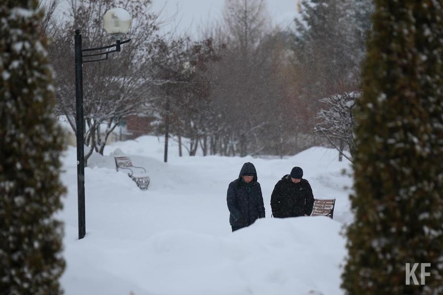 «Мы близимся к точке невозврата»: профессор КФУ рассказал о фатальных последствиях изменения климата в Татарстане «Мы близимся к точке невозврата»: профессор КФУ рассказал о фатальных последствиях изменения климата в Татарстане