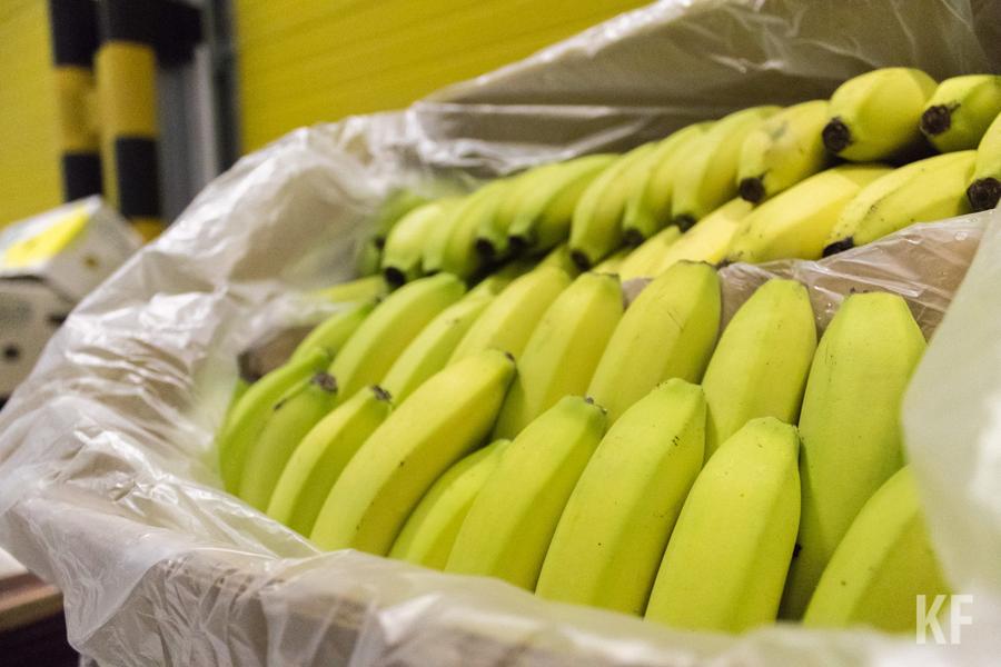 Новая пандемия: мутировавший грибок выкашивает банановые плантации
