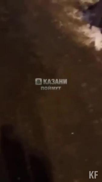 В сеть попало видео из Казани, где водитель сбил пешехода, а потом его избил