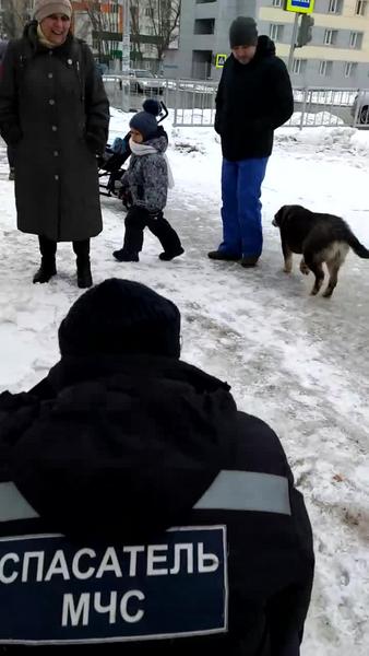 Челнинские спасатели вызволили застрявшего в заборе Винни-Пуха