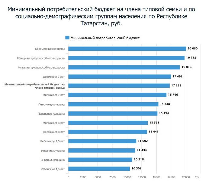 Прожиточный минимум минимальная заработная плата. МРОТ бюджет. Прожиточный минимум в Татарстане на 2022. Минимальный бюджет в РФ 2022. Минимальный потребительский бюджет в РФ это.