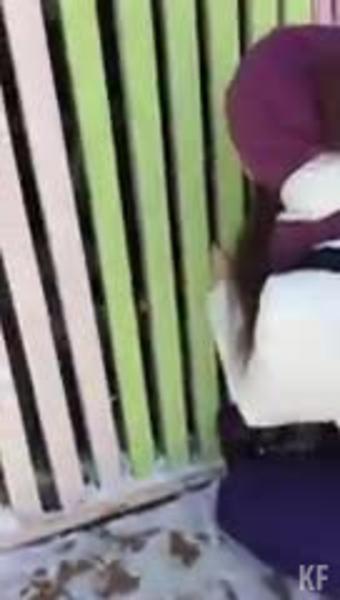 Воспитатель детсада заперла малыша на веранде в мороз