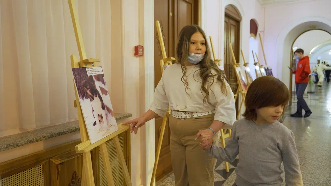 Казанский ТЮЗ рассказал, что объединяет кошек, собак и людей