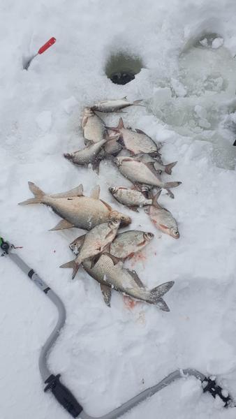 В Татарстане выписали штрафы злостным нарушителям, рыбачившим в акватории Куйбышевского водохранилища