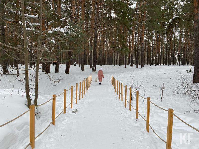 Команда Фишман-Бекмамбетовой показала, как измениться челнинский парк «Прибрежный» в ближайшее время