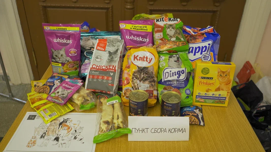 Казанский ТЮЗ рассказал, что объединяет кошек, собак и людей